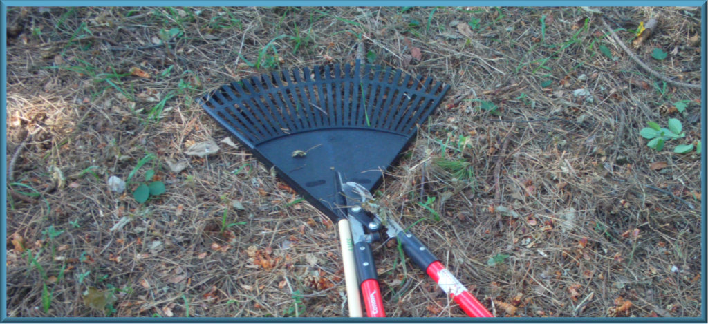 Curbside Yard Waste Removal to Begin Week of Monday, April 6, 2015 for City of Flint Residents