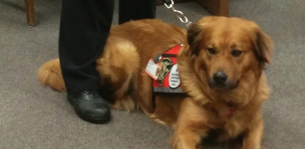 Mayor and Police Chief Announce New Therapy Dog Program & New Police Service Center