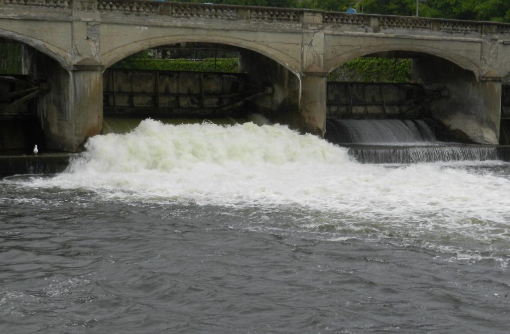 East Blvd Cleanup Project Underway Along the Flint River