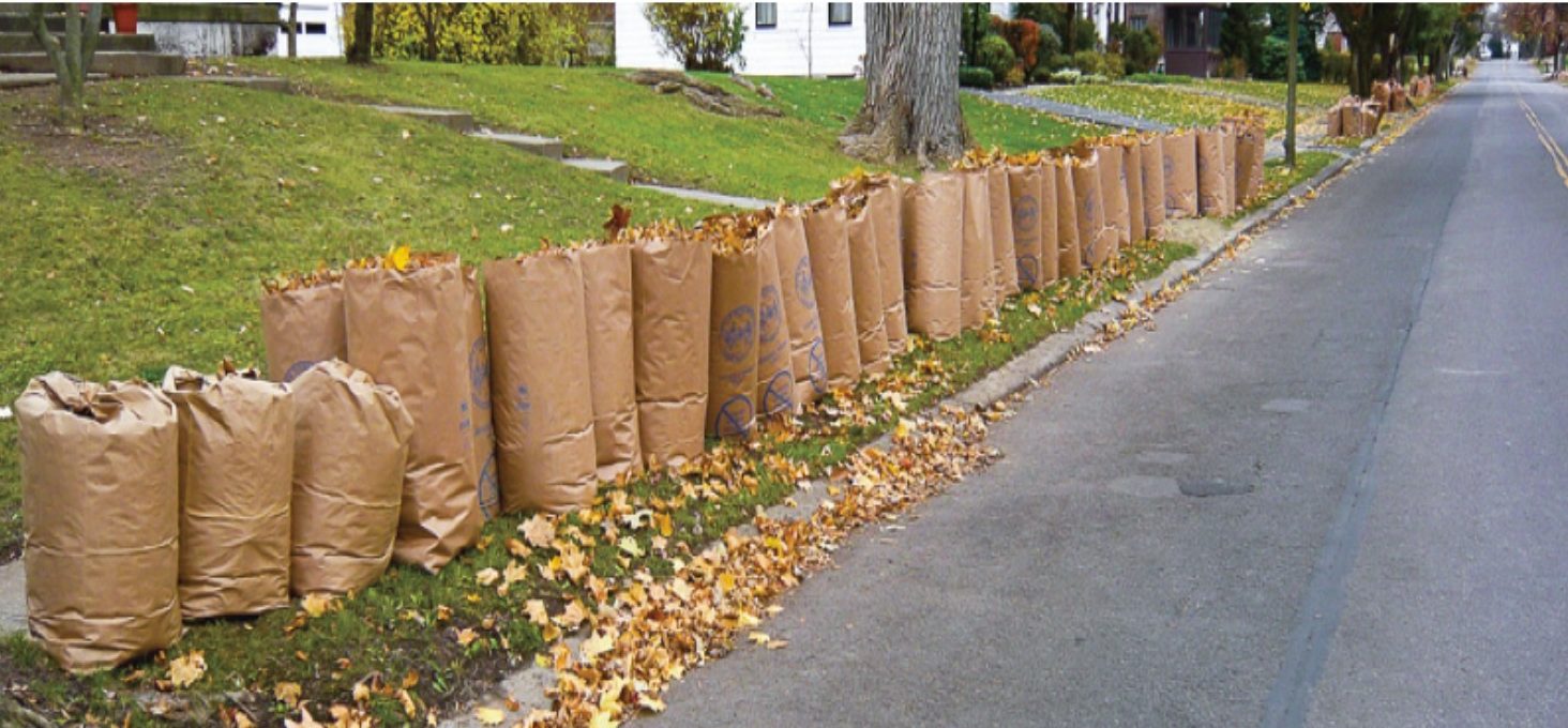 City announces days for spring brown leaf bag collection