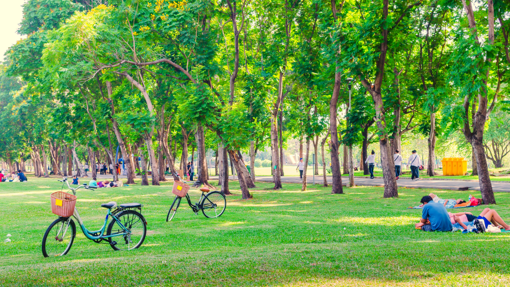 City of Flint Park