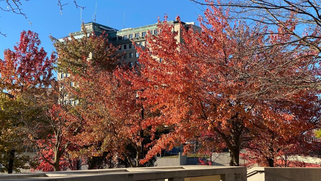 Experience Halloween in Flint