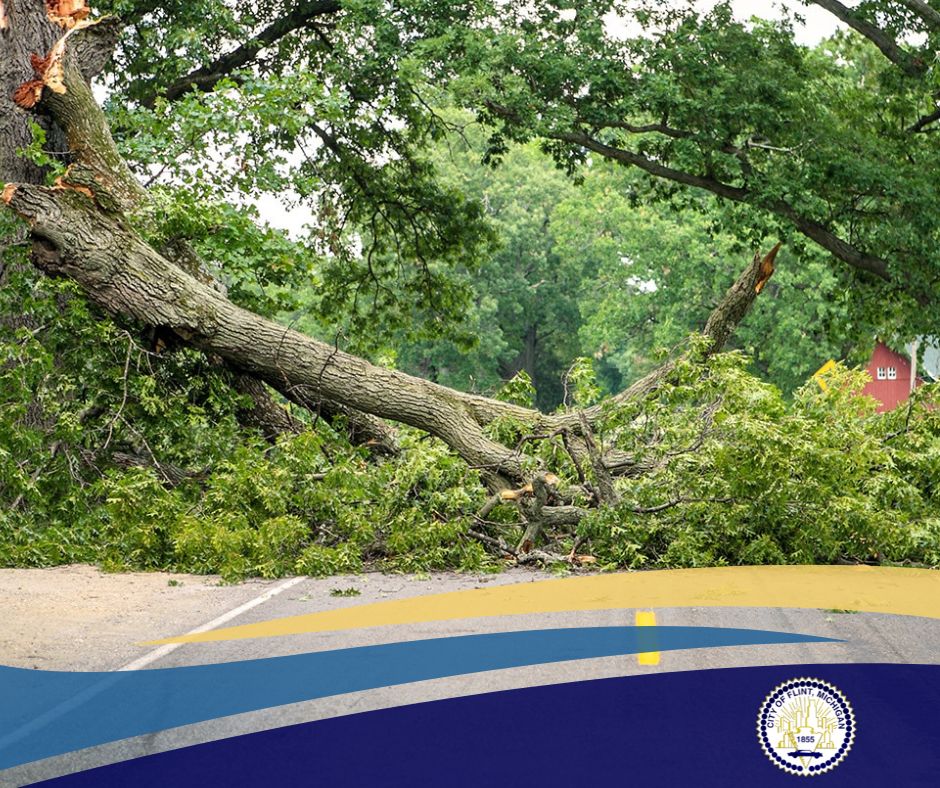 Storm Cleanup Reminder for Flint Residents
