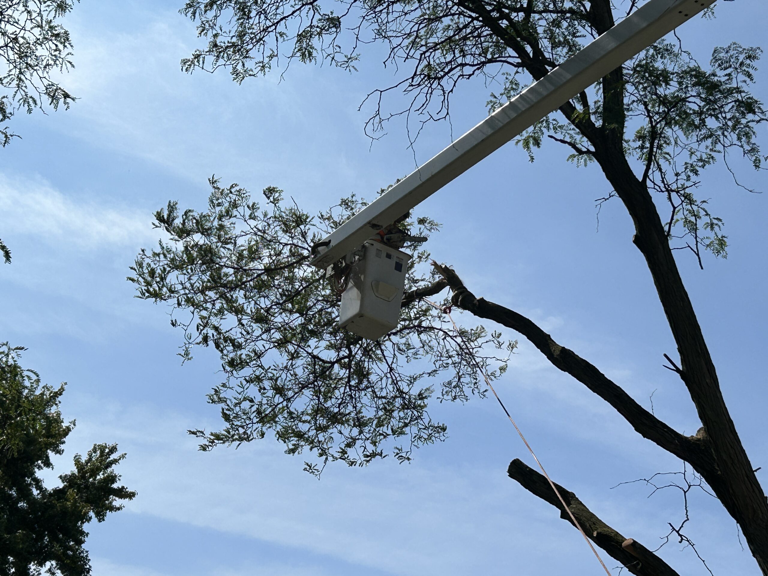 Tree trimming high bucket