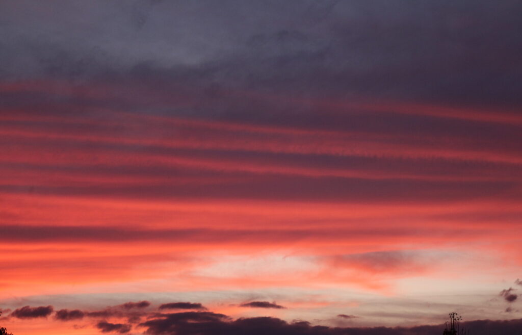 City of Flint Announces Official Halloween Trick-or-Treat Hours and Community Safety Measures
