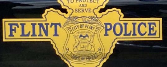 2019 Flint crime data