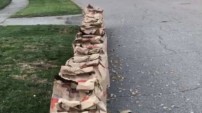 BAG IT! Flint residents reminded to bag leaves; Yard waste pickup to continue through Thanksgiving week 2020
