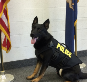 Flint Police K9 Officer Edo Gets New Bullet Resistant Vest Thanks to Generous Support from the Community