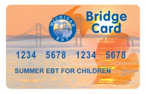 Michigan SEBTC Card