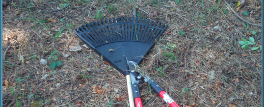 Curbside Yard Waste Removal to Begin Week of Monday, April 6, 2015 for City of Flint Residents