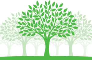 Flint Celebrates 18 years as a Tree City USA