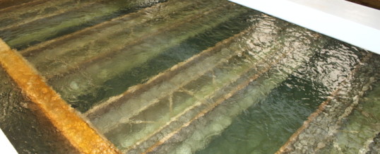 MDEQ Testing of City of Flint Water Shows TTHM Levels are Well Below the Required Action Level, City No Longer in Violation