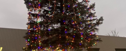 Mayor Sheldon Neeley lights holiday trees at Flint Development Center, Flint City Hall